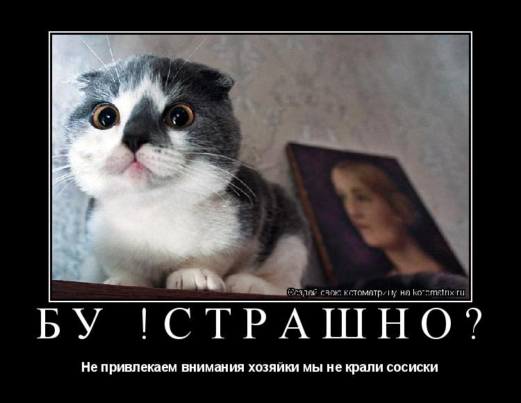 Бу !Страшно? Не привлекаем внимания хозяйки мы не крали сосиски... Котоматрица: Бу !Страшно? Не привлекаем внимания хозяйки мы не крали сосиски