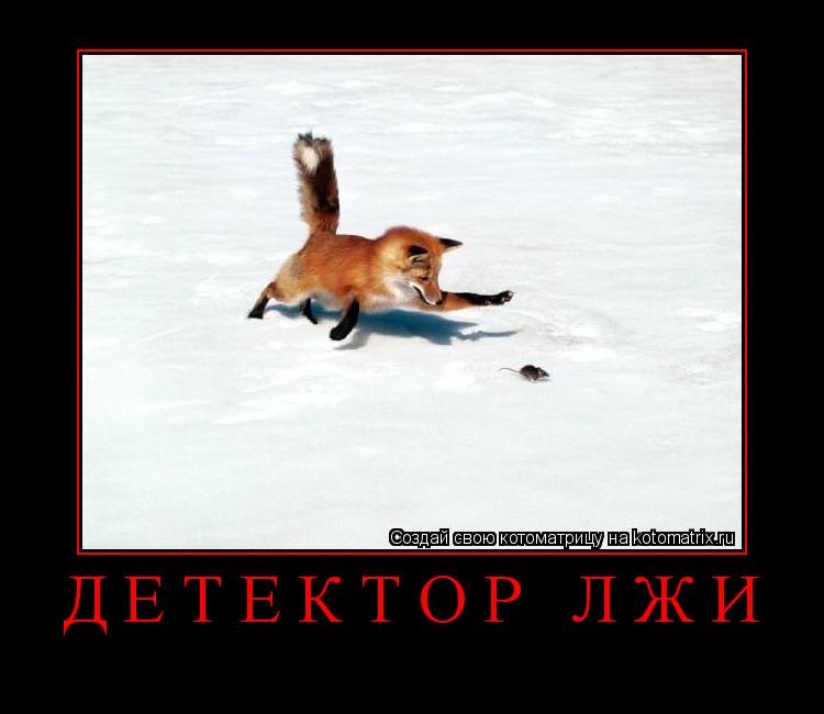 Котоматрица: детектор лжи 