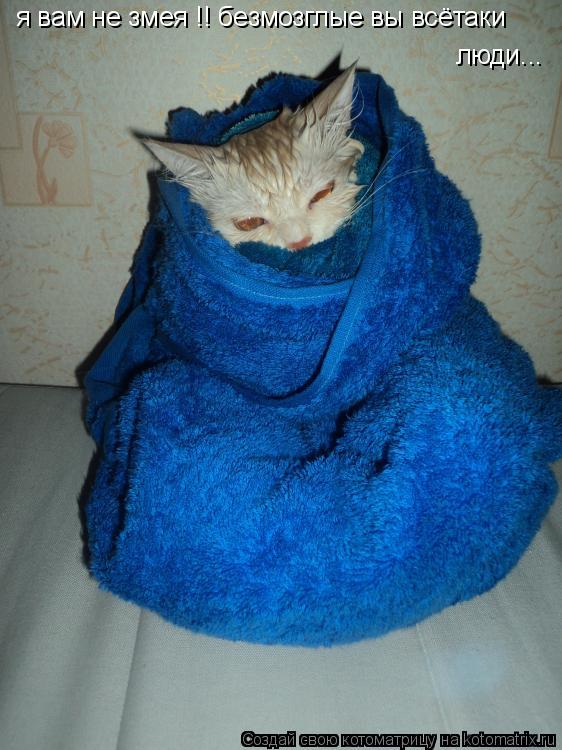 я вам не змея !! безмозглые вы всётаки люди...... Котоматрица: я вам не змея !! безмозглые вы всётаки люди...