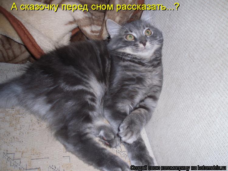 А сказочку перед сном рассказать...?... Котоматрица: А сказочку перед сном рассказать...?