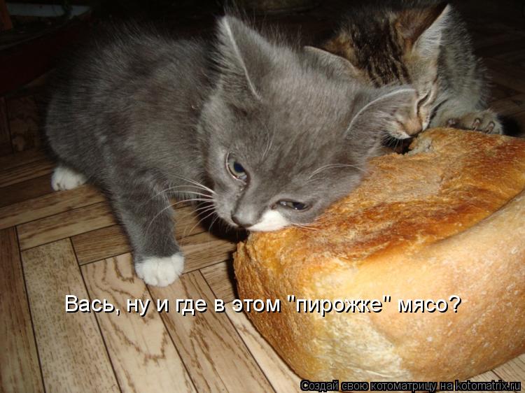Котоматрица: Вась, ну и где в этом "пирожке" мясо?