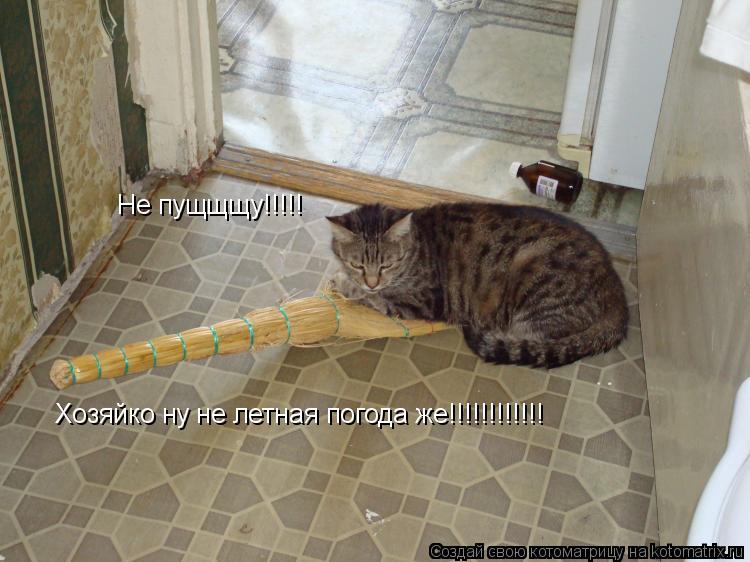 Котоматрица: Не пущщщу!!!!! Хозяйко ну не летная погода же!!!!!!!!!!!!