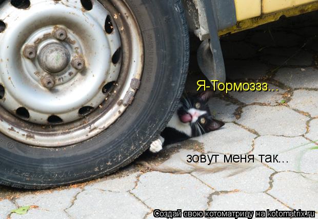 Котоматрица: Я-Тормоззз... зовут меня так...