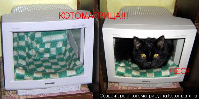 Котоматрица: КОТОМАТРИЦА!!! НЕО!