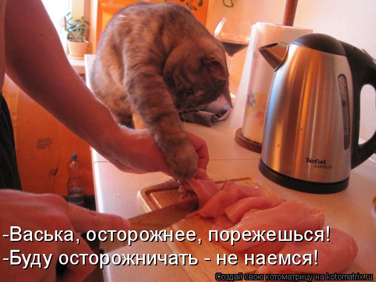 -Васька, осторожнее, порежешься! -Буду осторожничать - не наемся!... Котоматрица: -Васька, осторожнее, порежешься! -Буду осторожничать - не наемся!