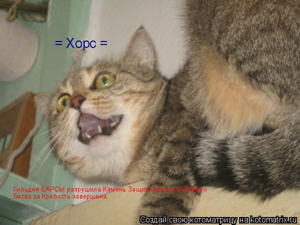 Котоматрица: = Хорс = Гильдия БАРСЫ разрушила Камень Защити Крепость Байрон Битва за Крепость завершена