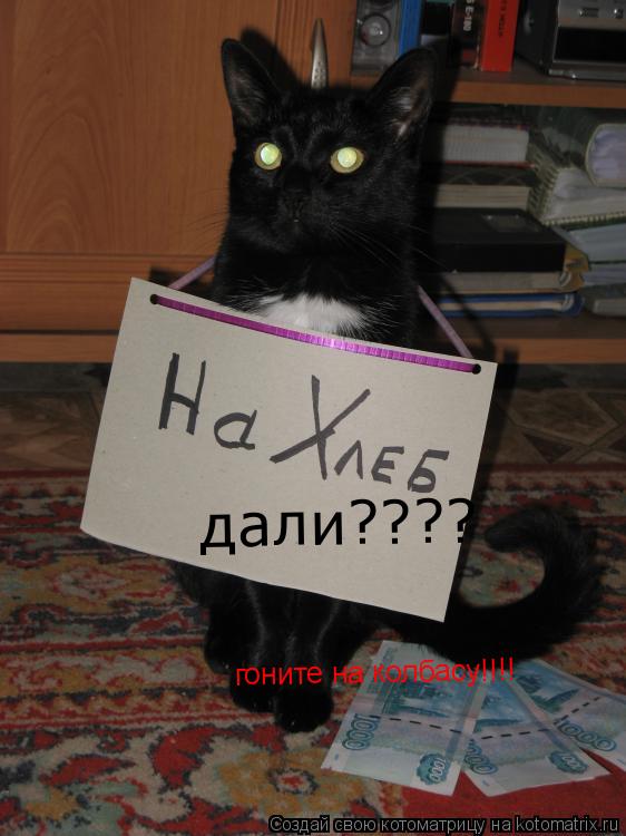 Котоматрица: дали???? гоните на колбасу!!!!