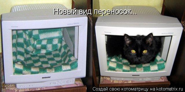 Котоматрица: Новый вид переносок...