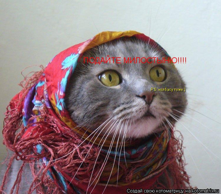 Котоматрица: ПОДАЙТЕ МИЛОСТЫНЮ!!!! P.S: колбасу тоже;)