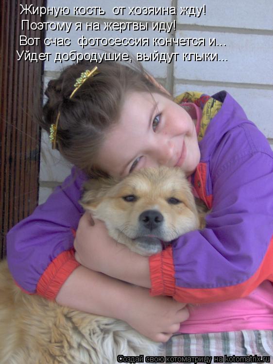 Котоматрица: Жирную кость  от хозяина жду! Поэтому я на жертвы иду! Вот счас  фотосессия кончется и... Уйдет добродушие, выйдут клыки...
