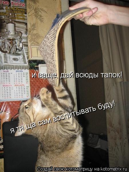 Котоматрица: и ваще, дай всюды тапок! я тя ща сам воспитывать буду!