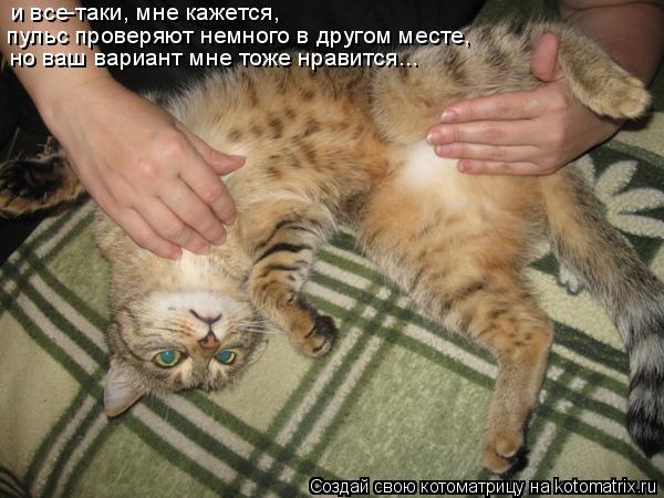 Котоматрица: и все-таки, мне кажется,  но ваш вариант мне тоже нравится... пульс проверяют немного в другом месте,