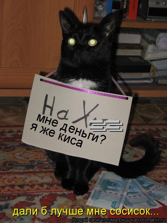 Котоматрица: == мне деньги? я же киса == дали б лучше мне сосисок...