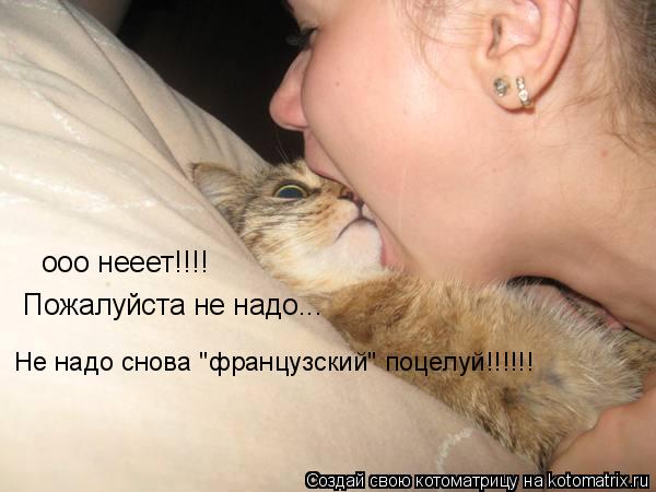 Котоматрица: ооо нееет!!!! Пожалуйста не надо... Не надо снова "французский" поцелуй!!!!!!