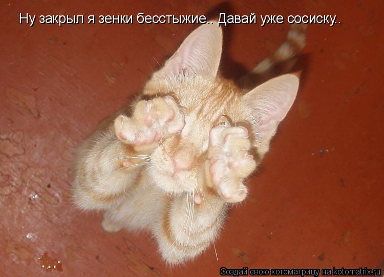 Котоматрица: Ну закрыл я зенки бесстыжие.. Давай уже сосиску..