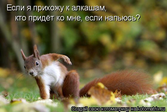 Котоматрица: Если я прихожу к алкашам, кто придёт ко мне, если напьюсь?