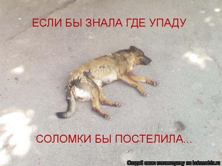 Поговорка подстелить соломку Как заставить мужчину жениться 10 полезных рекомендаций
