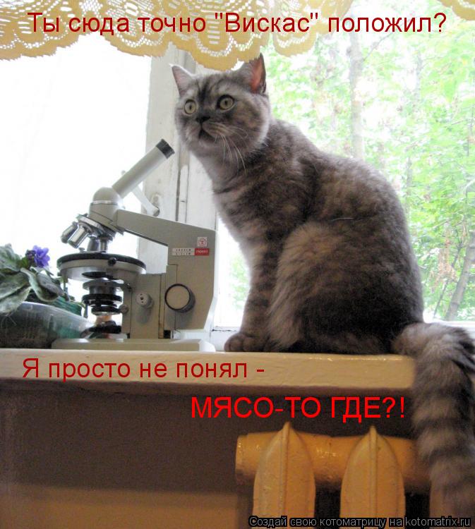 Ты сюда точно "Вискас" положил? Я просто не понял - МЯСО-ТО ГДЕ?!... Котоматрица: Ты сюда точно "Вискас" положил? Я просто не понял - МЯСО-ТО ГДЕ?!