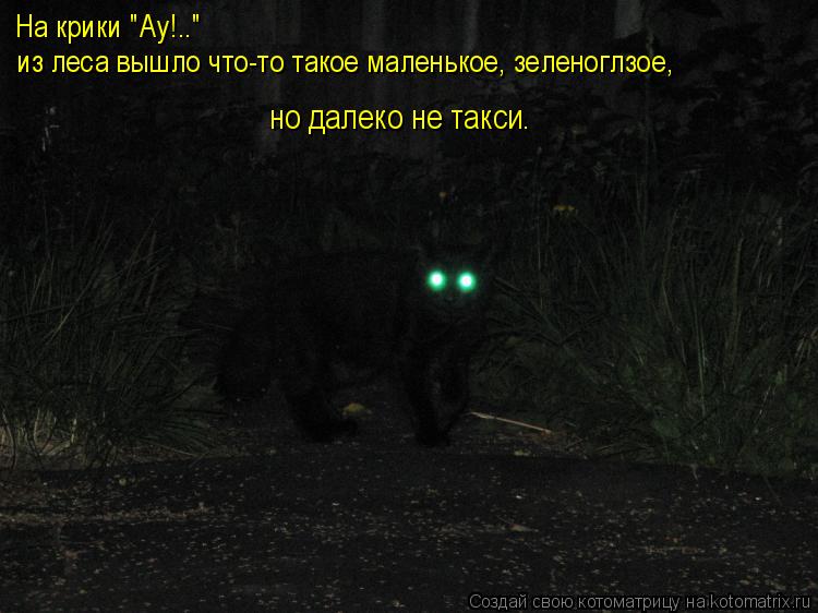 На крики "Ау!.." из леса вышло что-то такое маленькое, зеленоглзое, но далеко не такси.... Котоматрица: На крики "Ау!.." из леса вышло что-то такое маленькое, зеленоглзое, но далеко не такси.