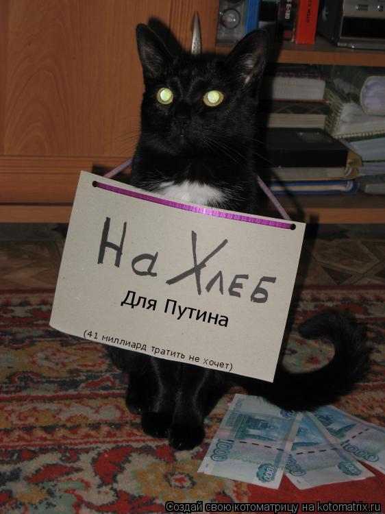 Для Путина (41 миллиард тратить не хочет)... Котоматрица: Для Путина (41 миллиард тратить не хочет)