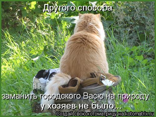 Котоматрица: Другого способа заманить городского Васю на природу у хозяев не было...