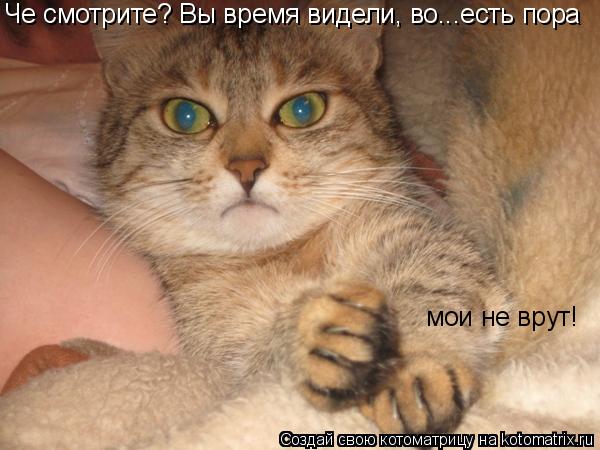 Че смотрите? Вы время видели, во...есть пора мои не врут!... Котоматрица: Че смотрите? Вы время видели, во...есть пора мои не врут!