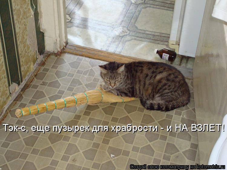 Тэк-с, еще пузырек для храбрости - и НА ВЗЛЕТ!... Котоматрица: Тэк-с, еще пузырек для храбрости - и НА ВЗЛЕТ!