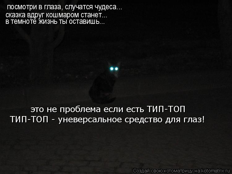 Котоматрица: посмотри в глаза, случатся чудеса... сказка вдруг кошмаром станет... в темноте жизнь ты оставишь... это не проблема если есть ТИП-ТОП ТИП-ТОП - у