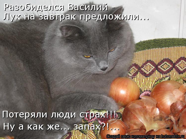 Котоматрица: Разобиделся Василий -  Лук на завтрак предложили... Ну а как же... запах?!... Потеряли люди страх!!!