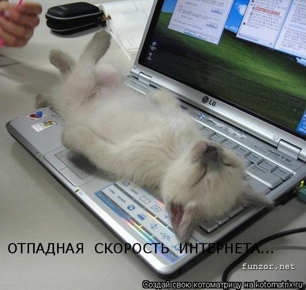 Котоматрица: ОТПАДНАЯ  СКОРОСТЬ  ИНТЕРНЕТА...