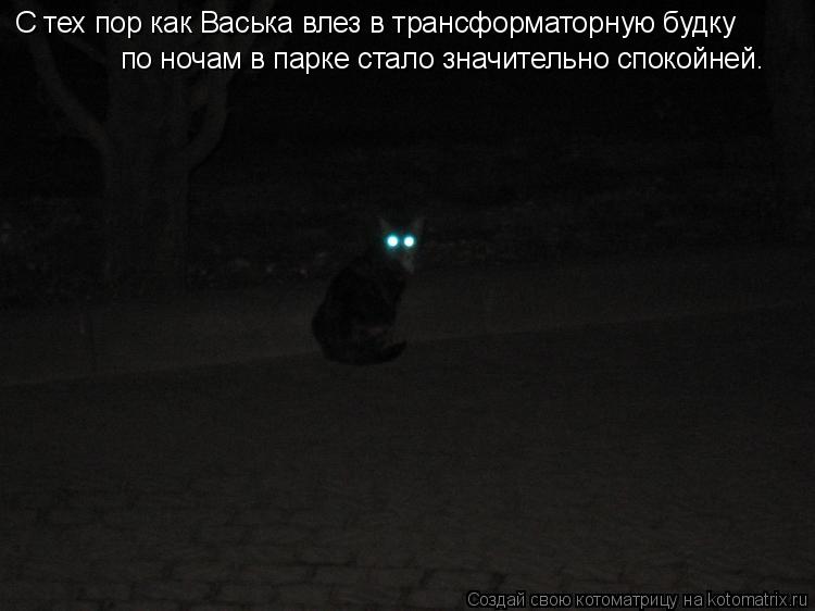Котоматрица: С тех пор как Васька влез в трансформаторную будку по ночам в парке стало значительно спокойней.