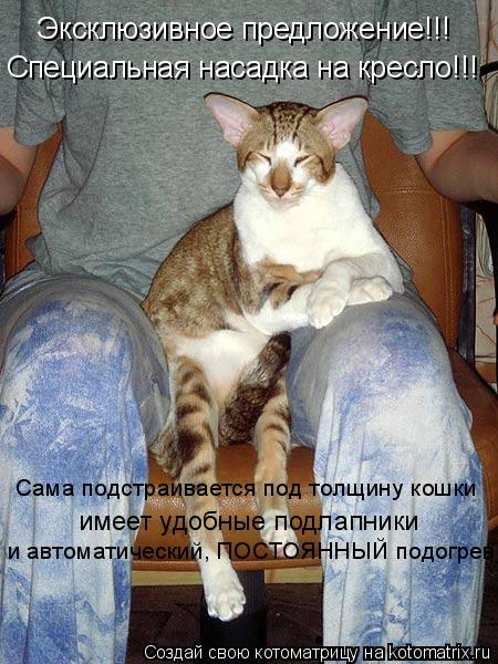 Котоматрица: Эксклюзивное предложение!!! Специальная насадка на кресло!!! Сама подстраивается под толщину кошки и автоматический, ПОСТОЯННЫЙ подогрев и
