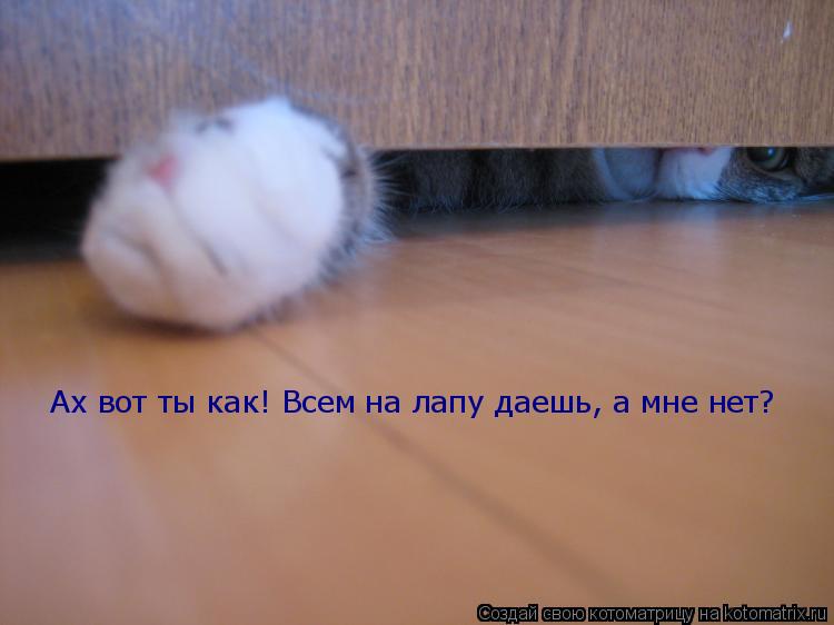 Котоматрица: Ах вот ты как! Всем на лапу даешь, а мне нет?