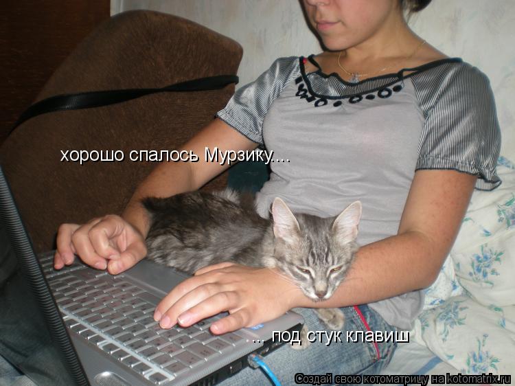 Котоматрица: хорошо спалось Мурзику.... ... под стук клавиш