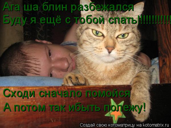 Ага ша блин разбежался Буду я ещё с тобой спать !!!!!!!!!!!!!!!!! Сходи сначало помойся А потом так и... Котоматрица: Ага ша блин разбежался Буду я ещё с тобой спать !!!!!!!!!!!!!!!!! Сходи сначало помойся А потом так ибыть полежу!