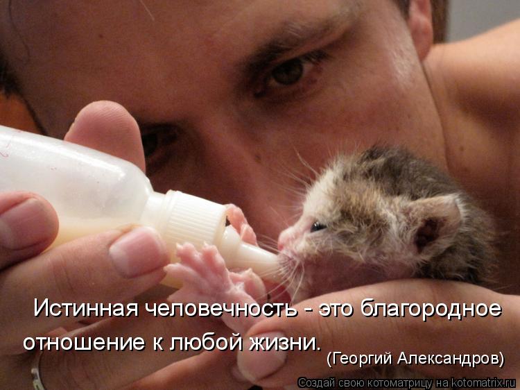 Истинная человечность - это благородное отношение к любой жизни. (Георгий Александров)... Котоматрица: Истинная человечность - это благородное отношение к любой жизни. (Георгий Александров)