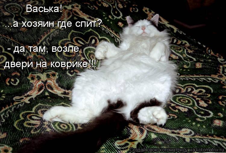 Васька! ...а хозяин где спит? - да там, возле двери на коврике!!!... Котоматрица: Васька! ...а хозяин где спит? - да там, возле двери на коврике!!!