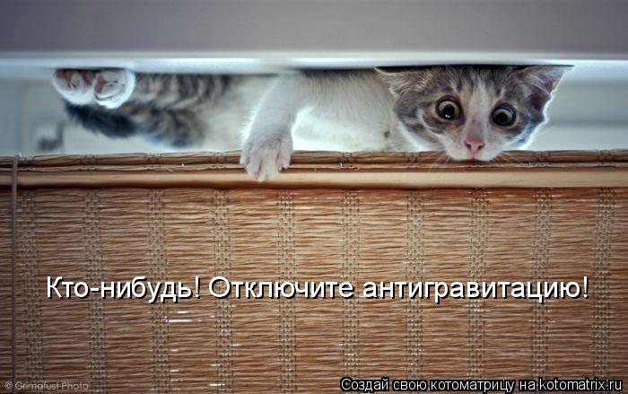 Кто-нибудь! Отключите антигравитацию!... Котоматрица: Кто-нибудь! Отключите антигравитацию!