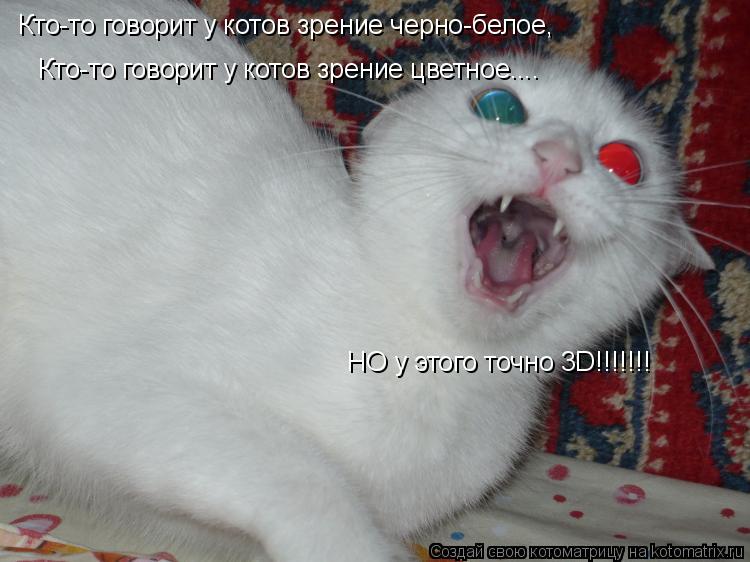 Котоматрица: Кто-то говорит у котов зрение черно-белое, Кто-то говорит у котов зрение цветное.... НО у этого точно 3D!!!!!!!