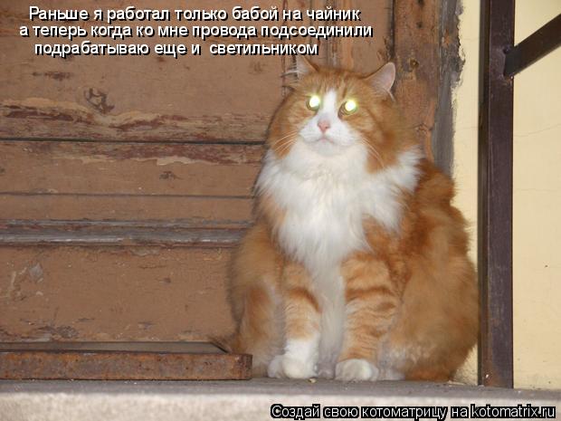 Котоматрица: Раньше я работал только бабой на чайник  а теперь когда ко мне провода подсоединили  подрабатываю еще и  светильником