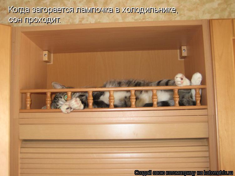 Котоматрица: Когда загорается лампочка в холодильнике, сон проходит.