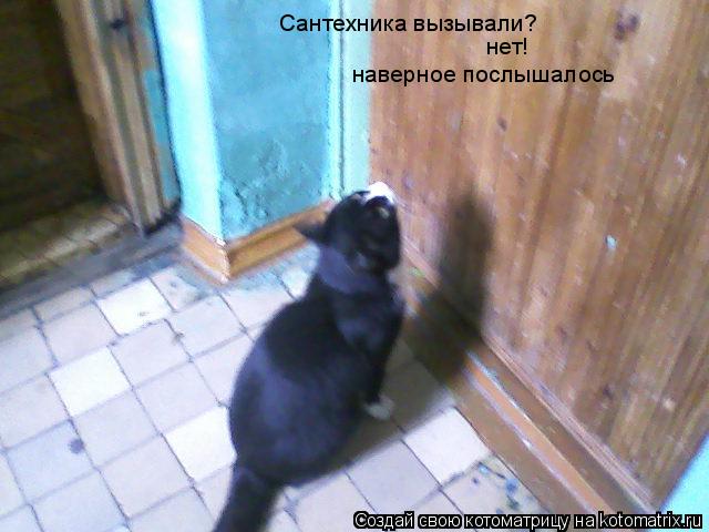 Котоматрица: Сантехника вызывали? нет! наверное послышалось