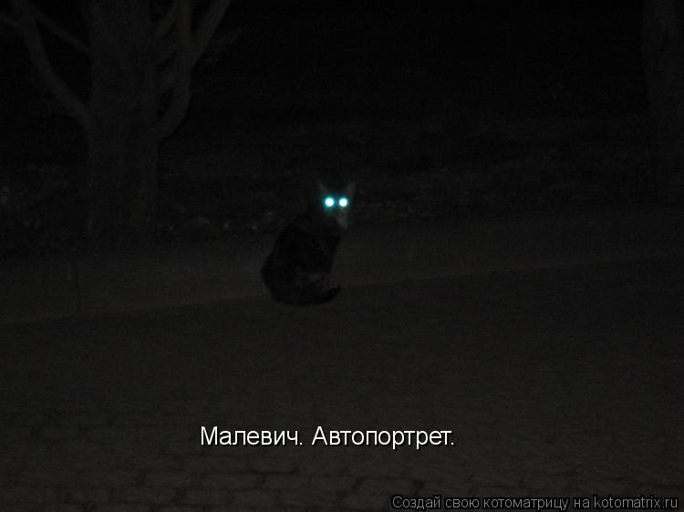 Котоматрица: Малевич. Автопортрет.