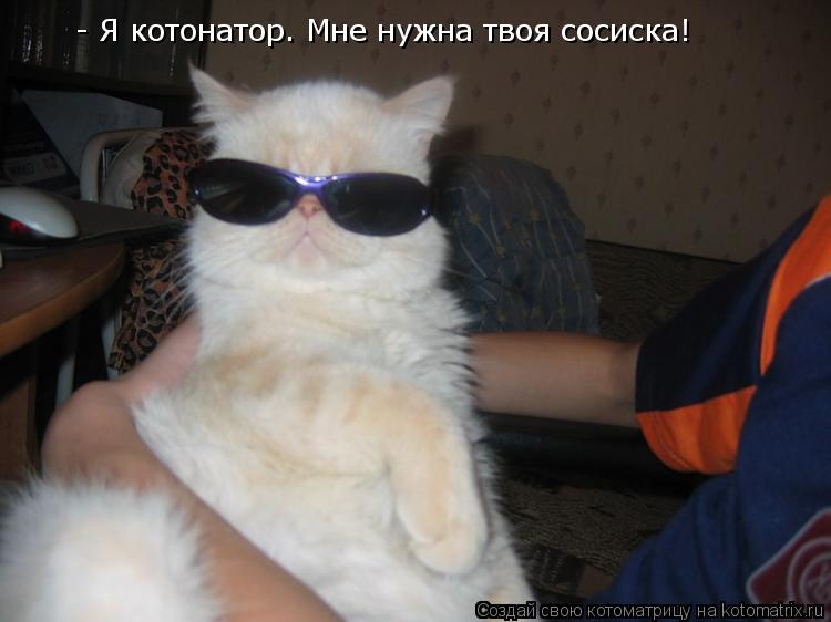 Котоматрица: - Я котонатор. Мне нужна твоя сосиска!