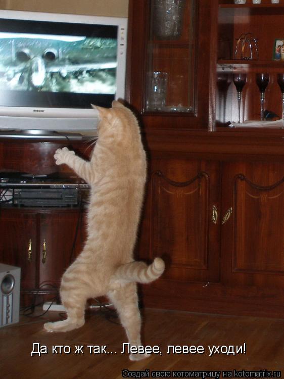 Котоматрица: Да кто ж так... Левее, левее уходи!