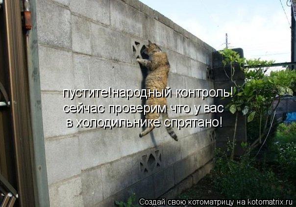 Котоматрица: пустите!народный контроль! сейчас проверим что у вас  в холодильнике спрятано!