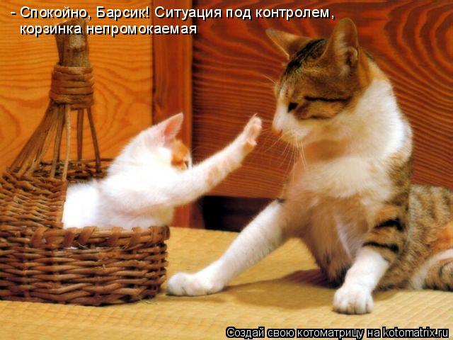Котоматрица: - Cпокойно, Барсик! Ситуация под контролем, корзинка непромокаемая