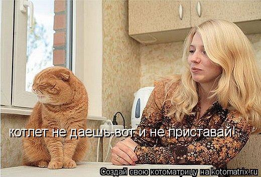 Котоматрица: котлет не даешь-вот и не приставай!