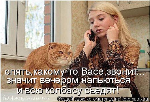 Котоматрица: опять,какому-то Васе,звонит... значит вечером напьються и всю колбасу сьедят!
