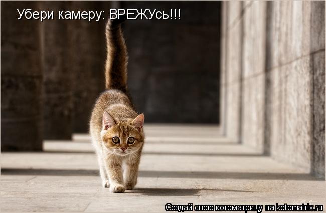 Котоматрица: Убери камеру: ВРЕЖУсь!!!